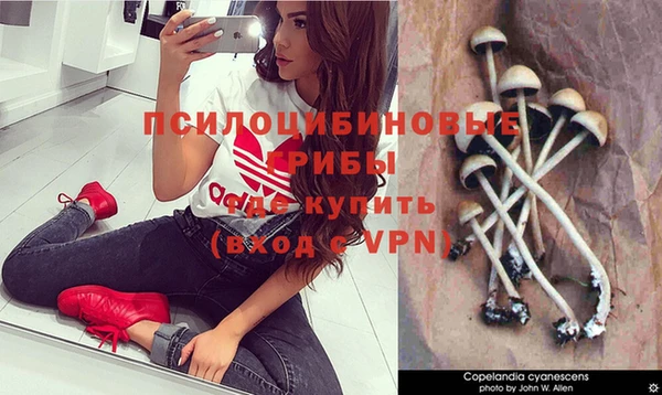 прущие крисы Армянск
