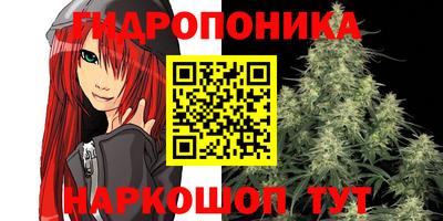 меф Кингисепп