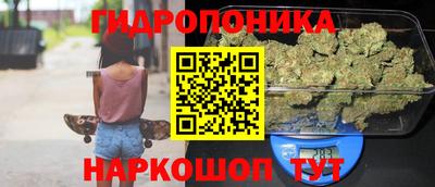 меф Кингисепп