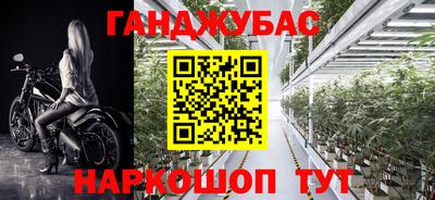 меф Кингисепп