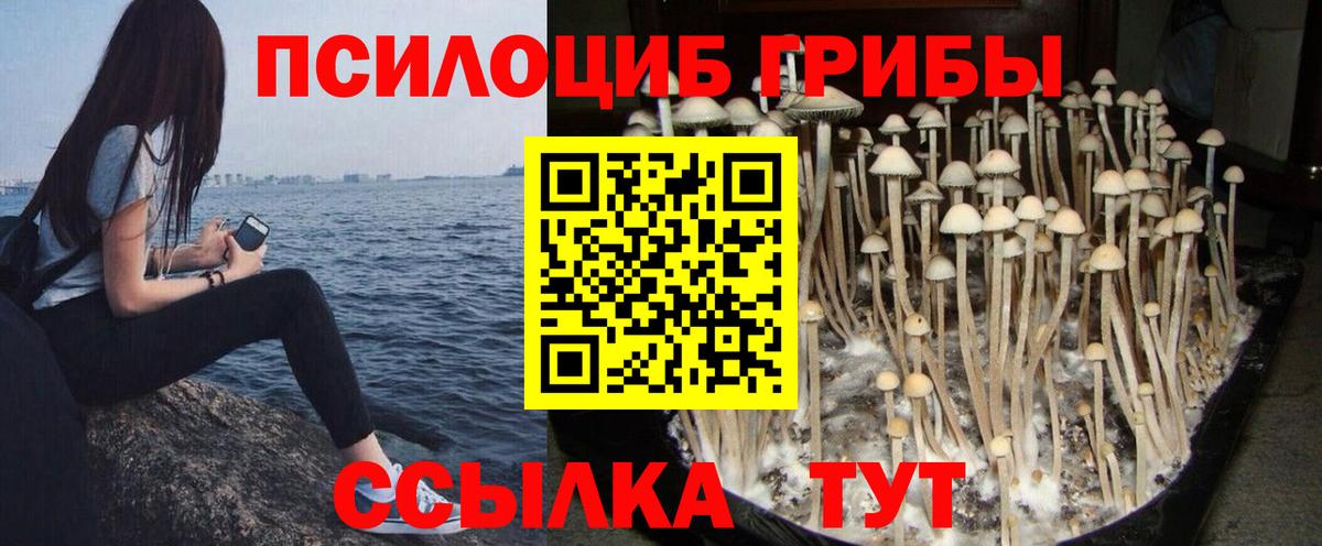 Псилоцибиновые грибы Magic Shrooms Нарткала