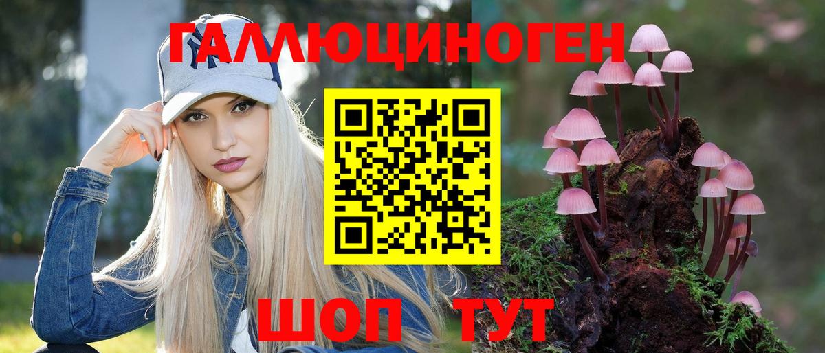 Нарткала  как найти наркотики  Вход с VPN  Галлюциногенные грибы GOLDEN TEACHER  Галлюциногенные грибы мицелий 