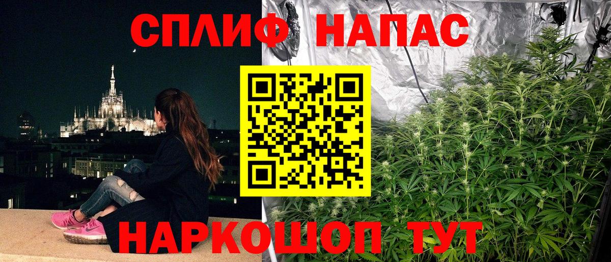 Бошки марихуана семена Нарткала